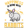 Rabbit Lucky Rabbit Rabbit
