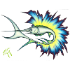 Sailfish