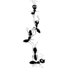 Ants