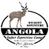 Angola - Kudu Antelope