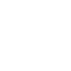Botswana - Lion