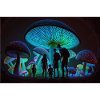 Mushrooms city