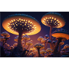 Mushroom city