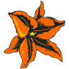 flower drawing tattoo 1403 A