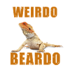 Reptilien Wierdo With a Beardo Iguana Bartagame