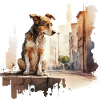 Street dog