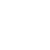 The Sushi