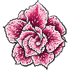 Blume