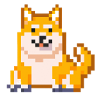 shiba inu