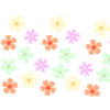 blumenwiese - bunte blumen