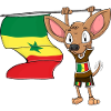 Senegal Chihuahua