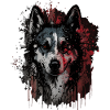Husky Dog