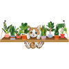 Playful kitten plant owner