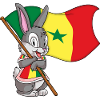 Senegal Rabbit