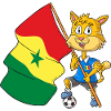 Sénégal Fan Cat