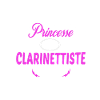 c'est compliqué princesse et clarinettiste