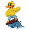 Duck Surfing