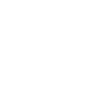 Realistic elephant design