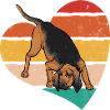 Limier Chien Limier