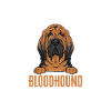 Bloodhound Dog Bloodhound