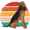 Bloodhound Dog Bloodhound