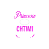 c'est compliqué princesse et chtimi