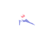 Pilates Trainer