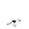 German Shepherd Gifts