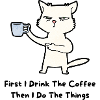 Morgen-Kater