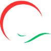 Dolphin, Logo Design, Funny