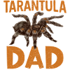 Tarantola Papa Tarantola Collezionista Tarantola