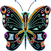 Bunter Schmetterling