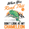 Caméléon Cadeau Caméléon