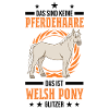 Welsh Pony Glitzer