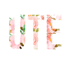 Ute