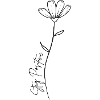 Stay Positive Flower