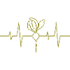 Heartbeet Radieschen
