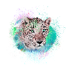 jaguar,wildkatze,leopard,graffiti,bunt