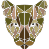 Tête de tigre Géométrie