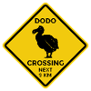 Attention Dodo