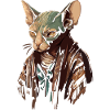 Sphinx Cat