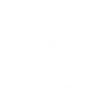 Strange white fox on skateboarding