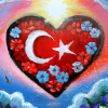 Turkish Heart