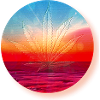 Hemp leaf before sunset