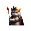 Funny Cat Saying Crazy Cat Lady