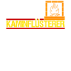 Kamin Kaminflüsterer Kaminofen Ofen