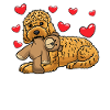 Kawaii Cockapoo Hund Mit Kuscheltier
