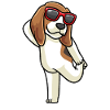 Beagle dog dancing with sunglasses