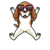 Beagle dog dancing with sunglasses