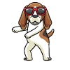 Beagle dog dancing with sunglasses